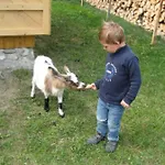 Demelhof Urlaub Auf Dem Bauernhof Lantgård