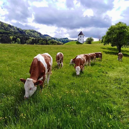 בית חווה Demelhof Urlaub Auf Dem Bauernhof *