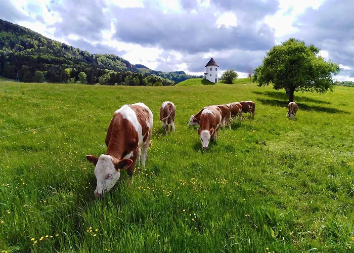 Farma Demelhof Urlaub Auf Dem Bauernhof *