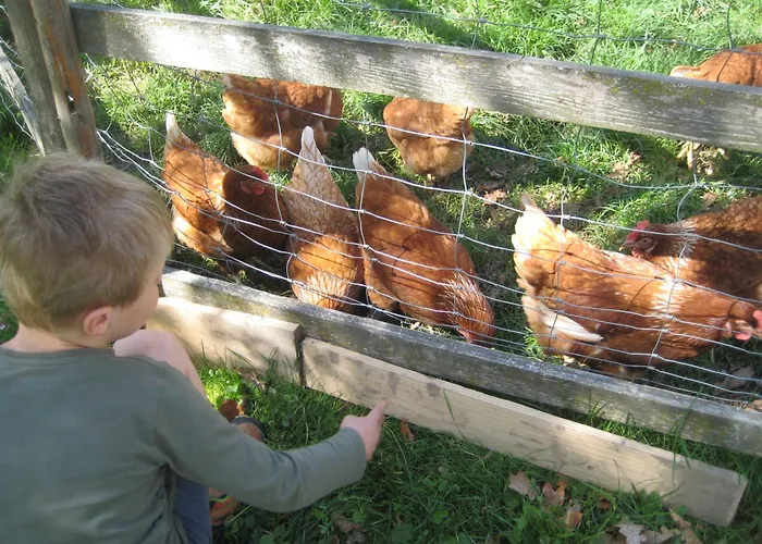 Demelhof Urlaub Auf Dem Bauernhof Farma Bernau am Chiemsee