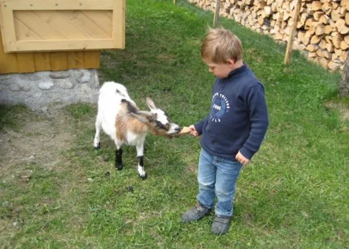 Demelhof Urlaub Auf Dem Bauernhof Farma
